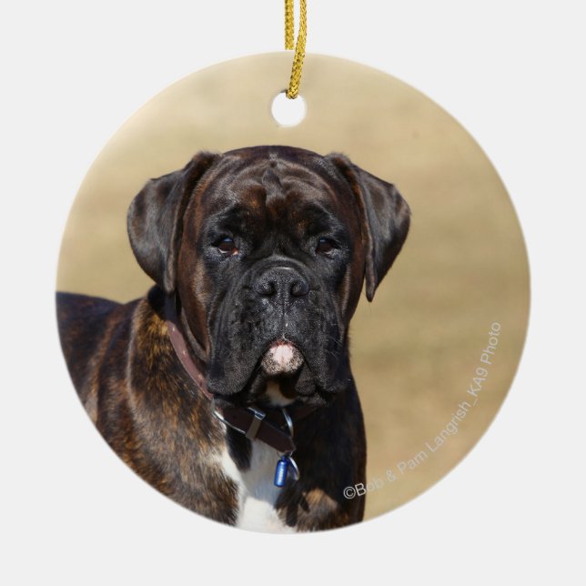 Brindle Boxer Dog Standing Ceramic Ornament (Front)