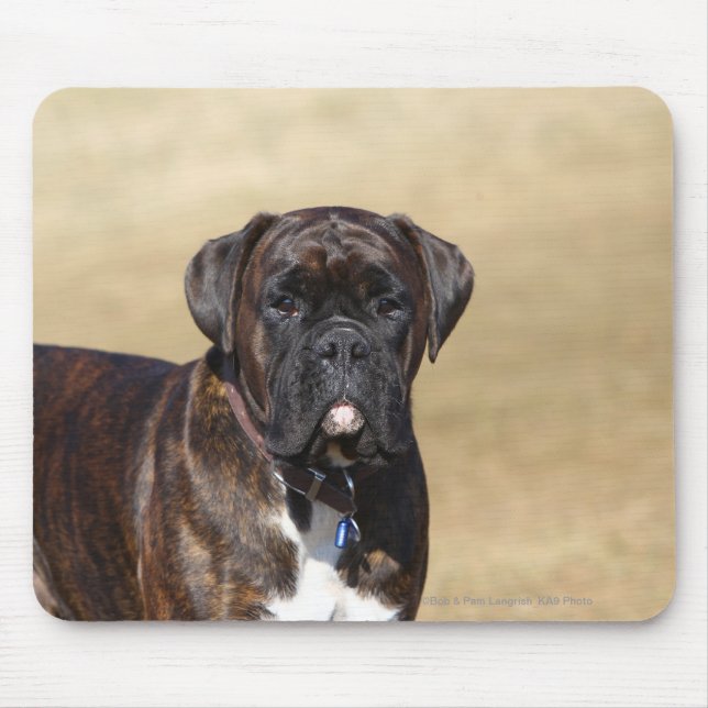 Brindle Boxer Dog Standing Mouse Pad (Front)