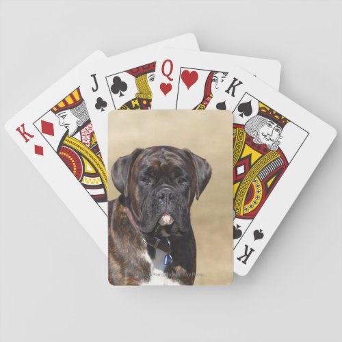 Brindle Boxer Dog Standing Poker Cards