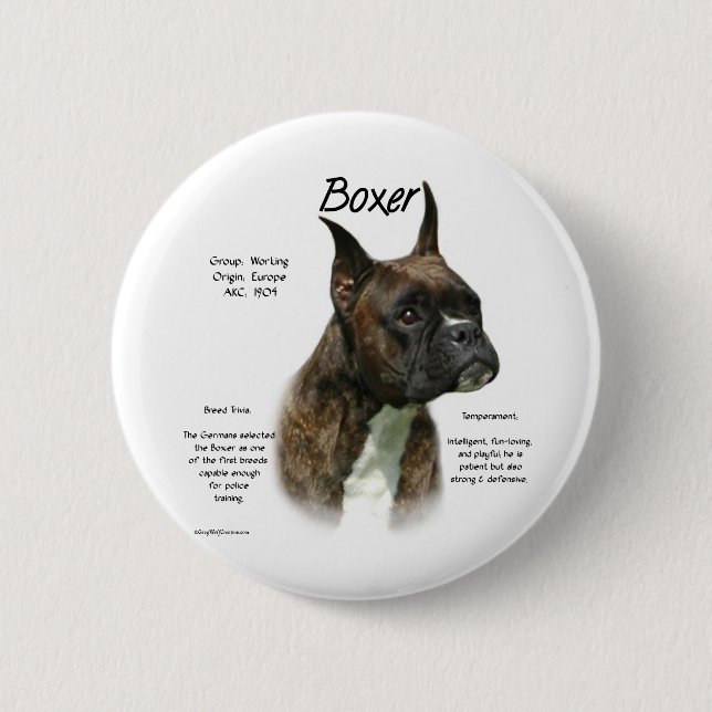 Brindle Boxer History  Pinback Button (Front)