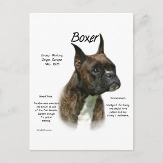 Brindle Boxer History Postcard