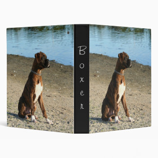 Brindle boxer puppy binder