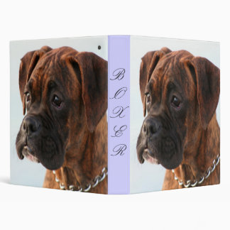 Brindle Boxer puppy binder