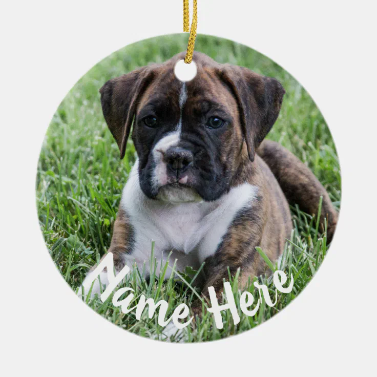 Brindle Boxer Puppy Christmas Ornament | Zazzle