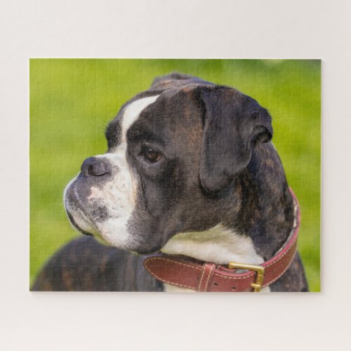 Brindle Boxer Puppy Dog Jigsaw Puzzle