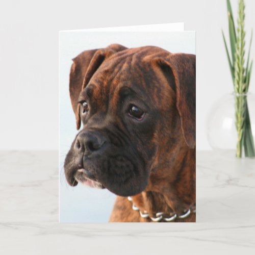 Brindle boxer puppy greeting card