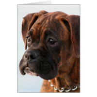 Brindle boxer puppy greeting card