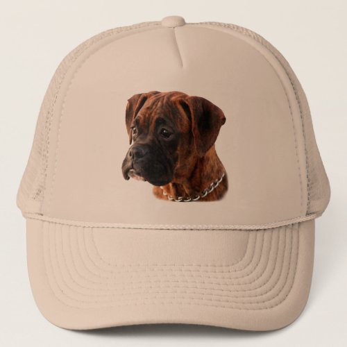 Brindle Boxer puppy Hat