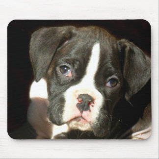 Brindle boxer puppy mousepad