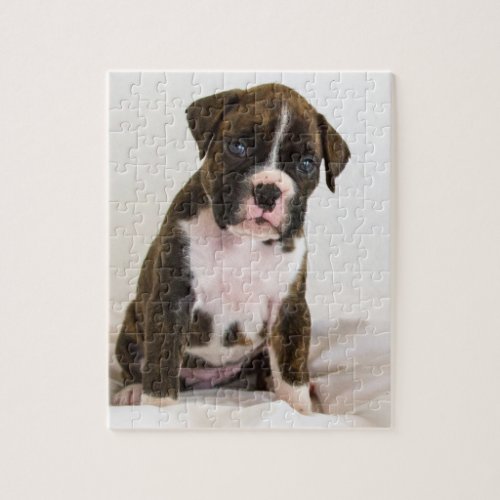 Brindle Boxer Puppy Puzzle