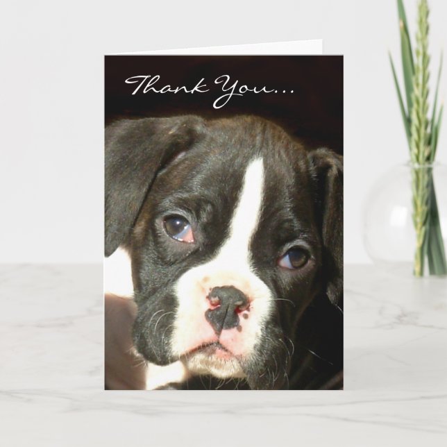 Brindle boxer puppy thank you card (Front)
