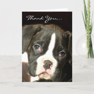 Brindle boxer puppy thank you card