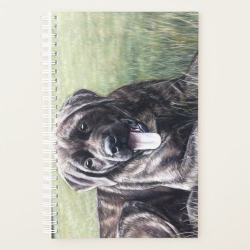 Brindle English mastiff lying in the grass Planner