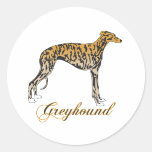 Brindle Greyhound Classic Round Sticker