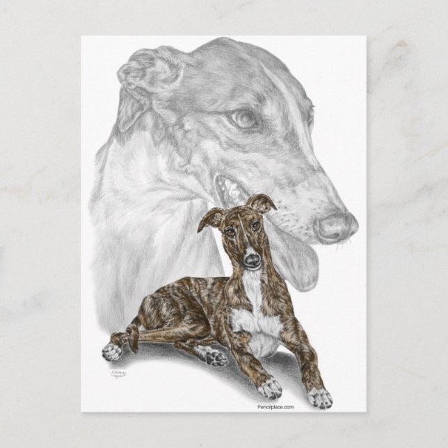 Brindle Greyhound Dog Art Postcard (Front)