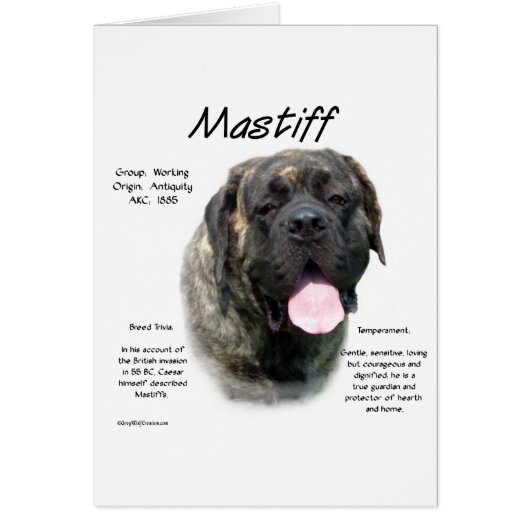 Brindle Mastiff History  (Front)