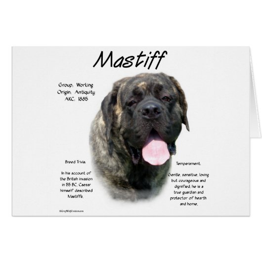 Brindle Mastiff History Cards (Front Horizontal)