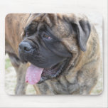 Brindle Mastiff Mouse Pad