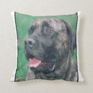 mastiff pillow