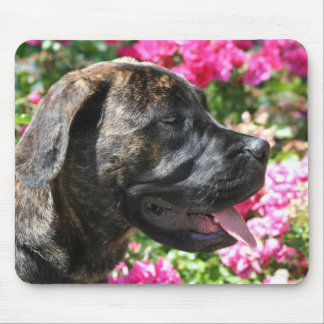Brindle Mastiff Puppy mousepad