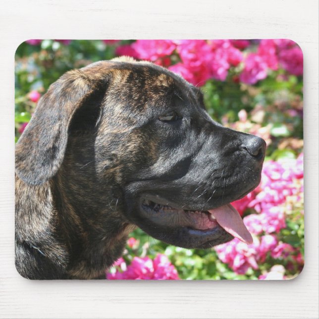 Brindle Mastiff Puppy mousepad (Front)