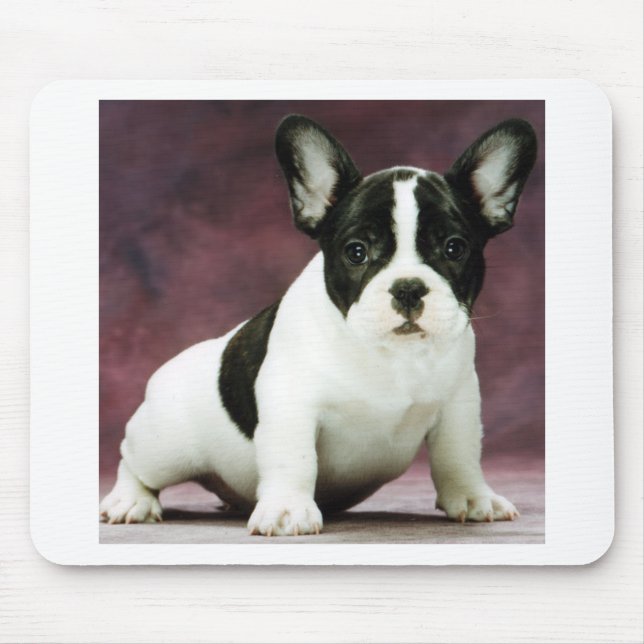 Brindle_pied_french bulldog puppy mouse pad (Front)