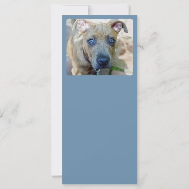 Brindle Pit Bull Puppy by Shirley Taylor (Front)