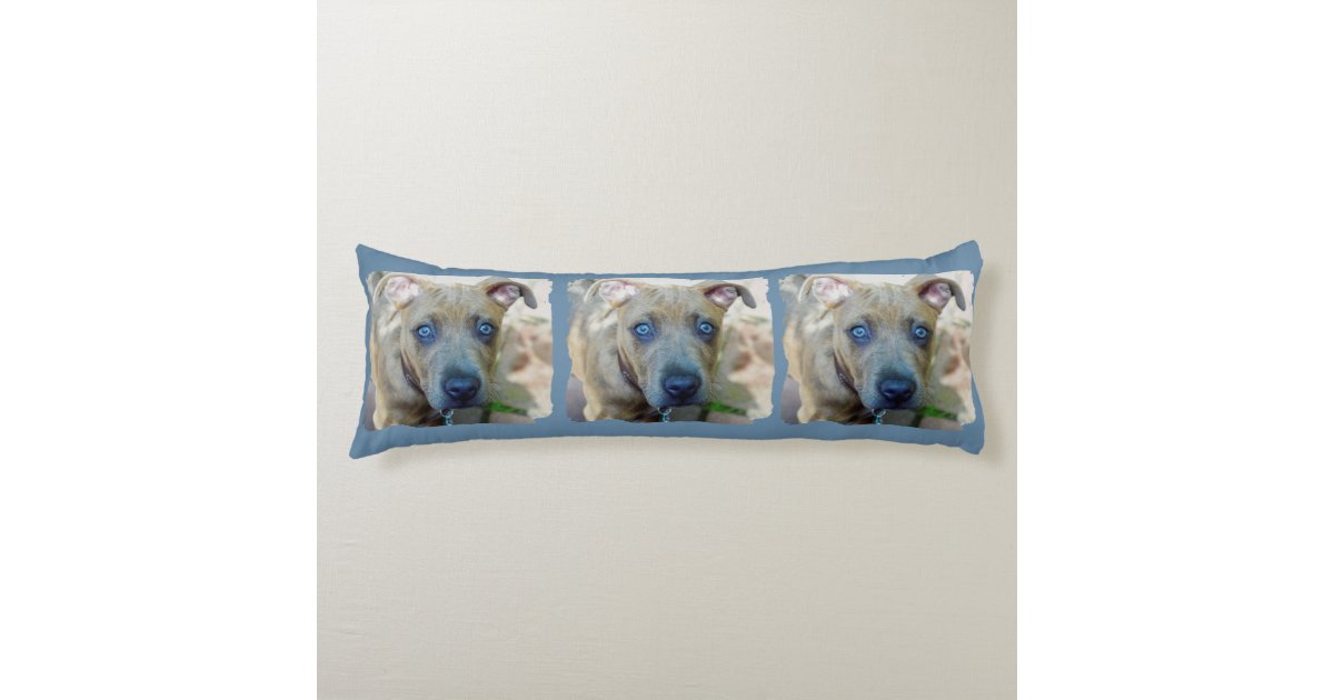zazzle