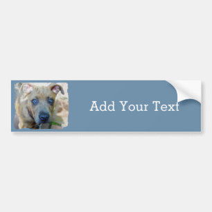 Brindle Pit Bull Puppy by Shirley Taylor Bumper Sticker
