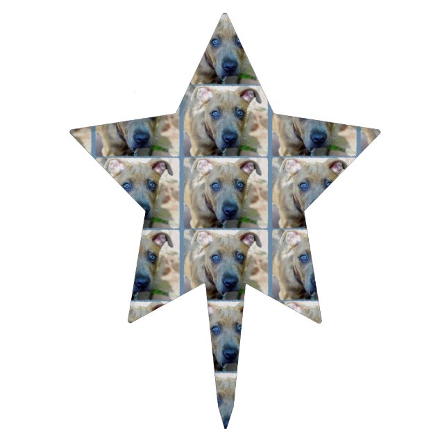 Brindle Pit Bull Puppy by Shirley Taylor Cake Topper (Front)