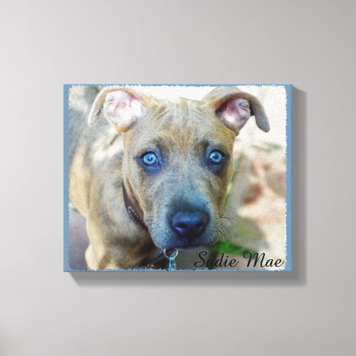 Brindle Pit Bull Puppy by Shirley Taylor Canvas Print