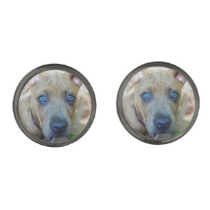 Brindle Pit Bull Puppy by Shirley Taylor Cufflinks