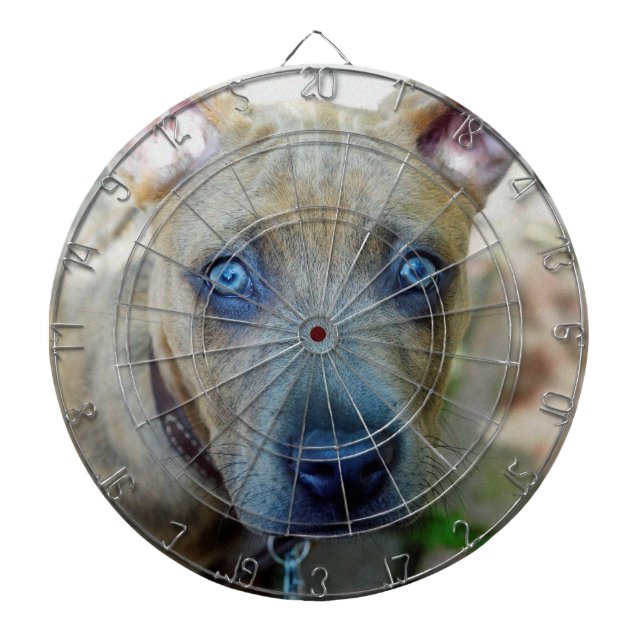 Brindle Pit Bull Puppy by Shirley Taylor Dart Board (Front)