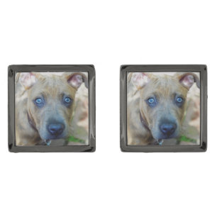 Brindle Pit Bull Puppy by Shirley Taylor Gunmetal Finish Cufflinks