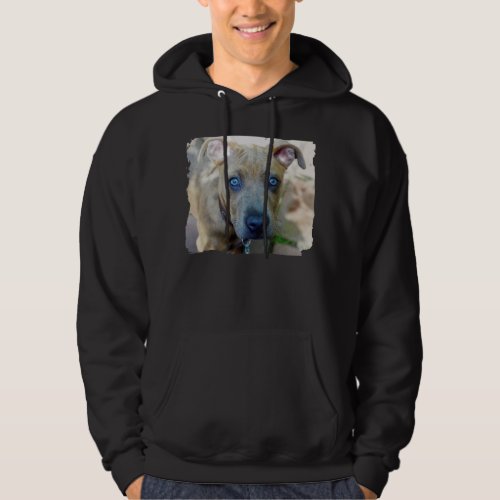 Brindle Pit Bull Puppy by Shirley Taylor Hoodie