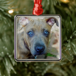 Brindle Pit Bull Puppy by Shirley Taylor Metal Ornament
