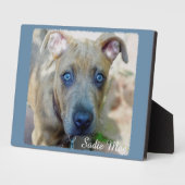 Brindle Pit Bull Puppy by Shirley Taylor Plaque (Side)