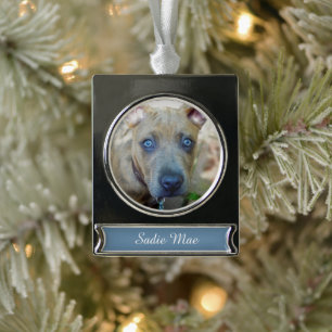 Brindle Pit Bull Puppy by Shirley Taylor Silver Plated Banner Ornament