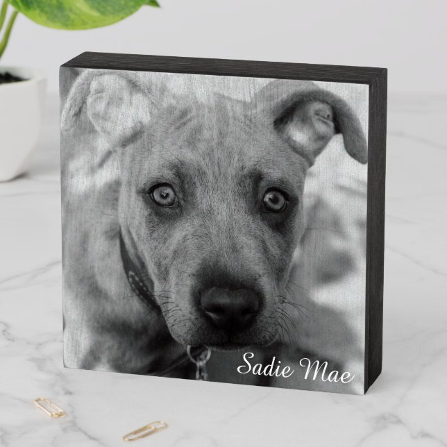 Brindle Pit Bull Puppy by Shirley Taylor Wooden Box Sign (In Situ Horizontal)