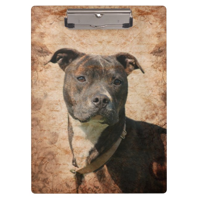 Brindle pitbull clipboard (Front)