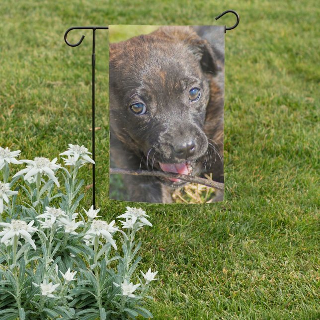 Brindle Puppy Chewing on Twig Garden Flag (Brindle Puppy Chewing on Twig Garden Flag)