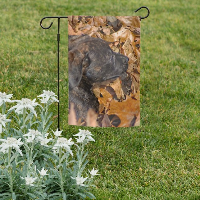 Brindle Puppy in Pile of Leaves Garden Flag (Brindle Puppy in Pile of Leaves Garden Flag)