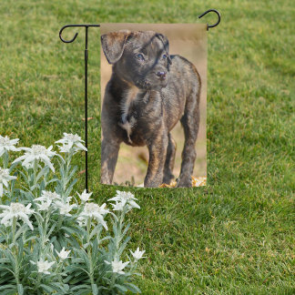 Brindle Puppy Profile Portrait Garden Flag