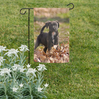Brindle Puppy with White Blaze Stands Proud Garden Flag