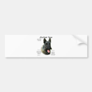 Brindle Scottish Terrier History  Bumper Sticker