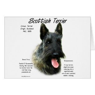 Brindle Scottish Terrier History Cards