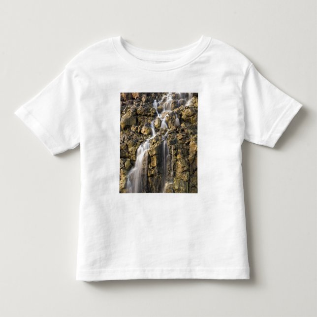 Brine falls from volcanic rock drop off toddler t-shirt (Front)
