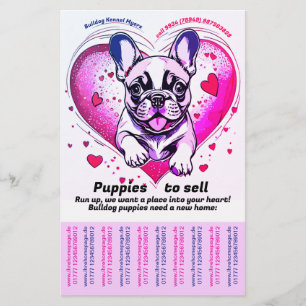 Bring a French Bulldog Puppy into Your Home Flyer