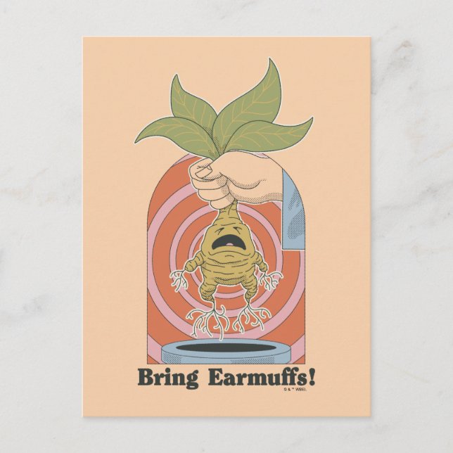 "Bring Earmuffs!" Screaming Mandrake Graphic Postcard (Front)