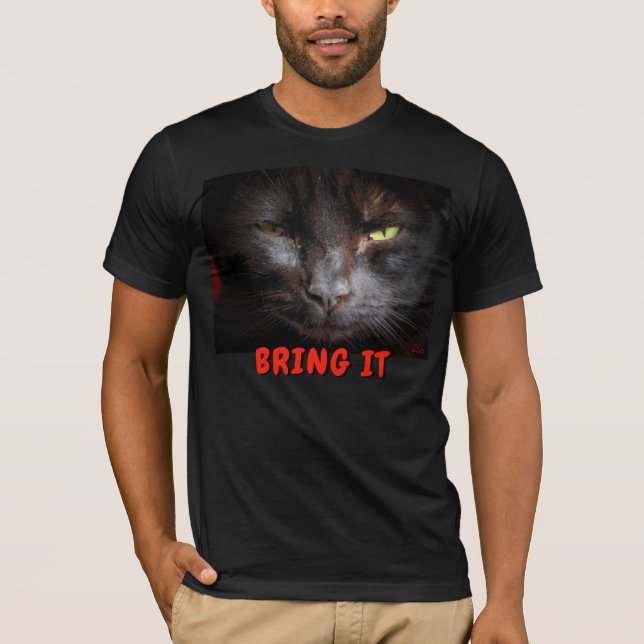 Bring It Cat Men's Basic Bella Canvas T-Shirt (Front)